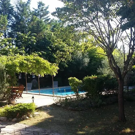 Le Clos Des Olivettes Bed & Breakfast *
