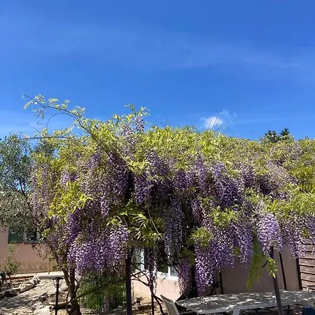Le Clos Des Olivettes Bed & Breakfast