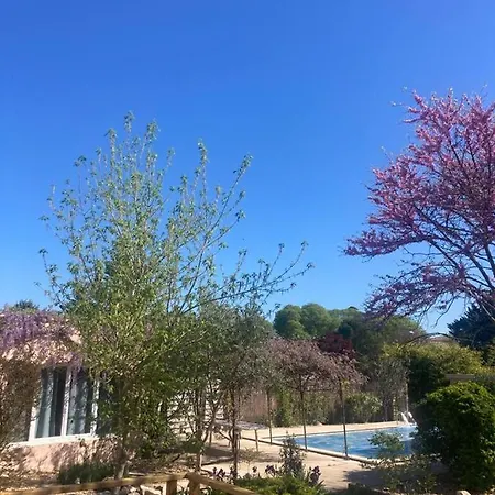 Le Clos Des Olivettes Bed & Breakfast *