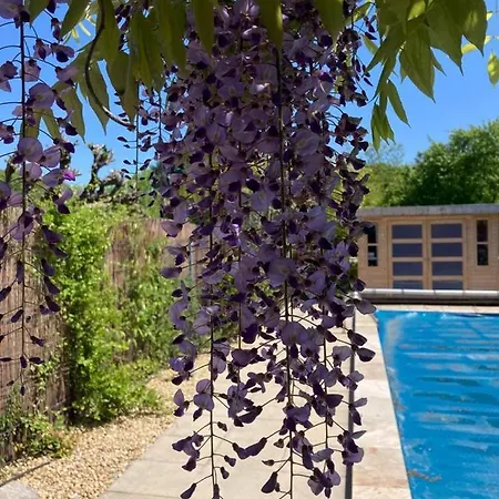 Le Clos Des Olivettes Bed & Breakfast
