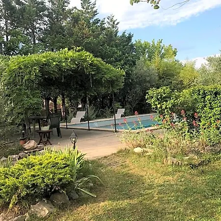 Le Clos Des Olivettes