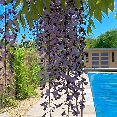 Le Clos Des Olivettes