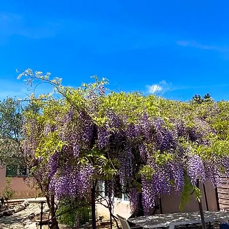 Le Clos Des Olivettes Bed & Breakfast Sainte-Croix-de-Quintillargues